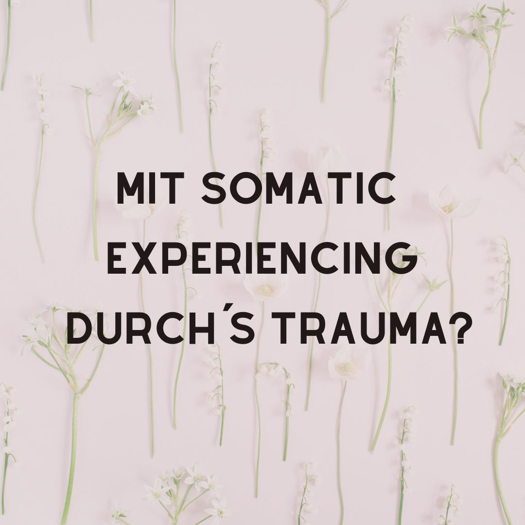 Mit Somatic Experiencing durch´s Trauma